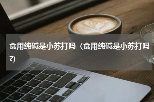 食用纯碱是小苏打吗（食用纯碱是小苏打吗?）