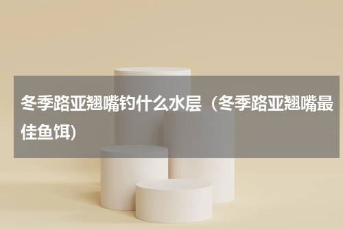 冬季路亚翘嘴钓什么水层（冬季路亚翘嘴最佳鱼饵）