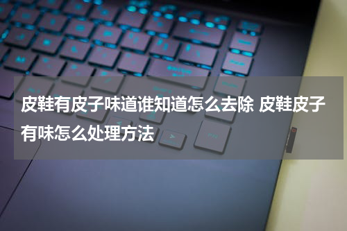 皮鞋有皮子味道谁知道怎么去除 皮鞋皮子有味怎么处理方法