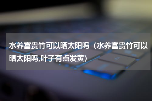 水养富贵竹可以晒太阳吗（水养富贵竹可以晒太阳吗,叶子有点发黄）