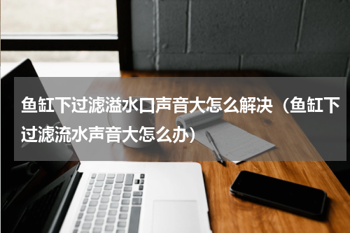 鱼缸下过滤溢水口声音大怎么解决（鱼缸下过滤流水声音大怎么办）