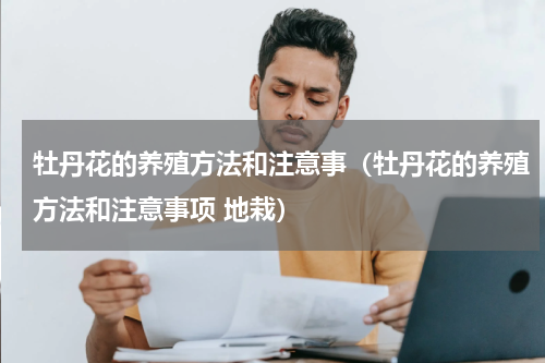 牡丹花的养殖方法和注意事（牡丹花的养殖方法和注意事项 地栽）
