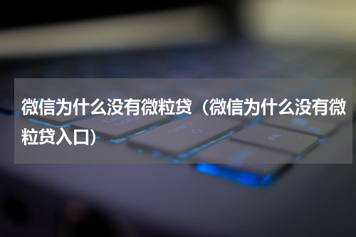 微信为什么没有微粒贷（微信为什么没有微粒贷入口）