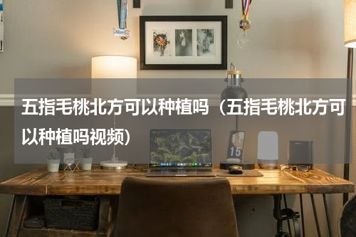 五指毛桃北方可以种植吗（五指毛桃北方可以种植吗视频）
