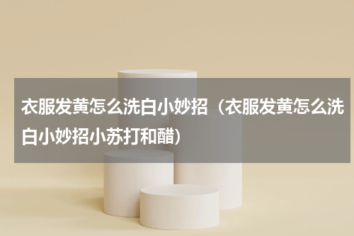 衣服发黄怎么洗白小妙招（衣服发黄怎么洗白小妙招小苏打和醋）