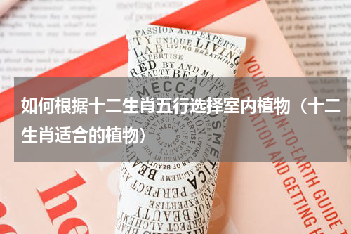 如何根据十二生肖五行选择室内植物（十二生肖适合的植物）