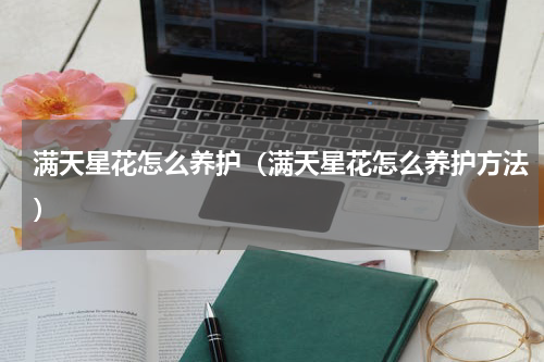 满天星花怎么养护（满天星花怎么养护方法）