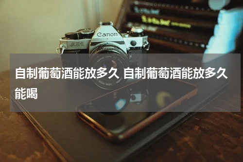 自制葡萄酒能放多久 自制葡萄酒能放多久能喝