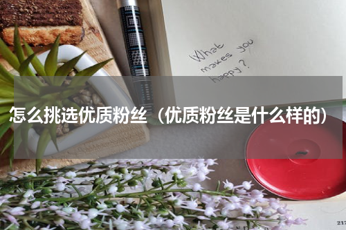 怎么挑选优质粉丝（优质粉丝是什么样的）