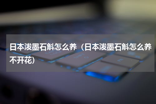 日本泼墨石斛怎么养（日本泼墨石斛怎么养不开花）