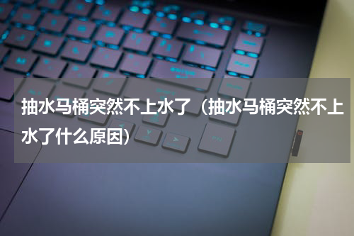 抽水马桶突然不上水了（抽水马桶突然不上水了什么原因）