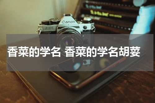 香菜的学名 香菜的学名胡荽