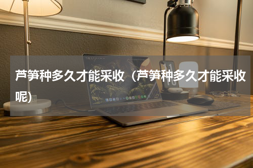 芦笋种多久才能采收（芦笋种多久才能采收呢）