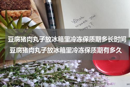 豆腐猪肉丸子放冰箱里冷冻保质期多长时间 豆腐猪肉丸子放冰箱里冷冻保质期有多久