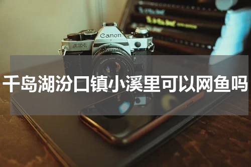千岛湖汾口镇小溪里可以网鱼吗