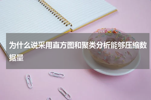 为什么说采用直方图和聚类分析能够压缩数据量