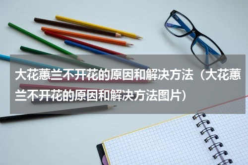 大花蕙兰不开花的原因和解决方法（大花蕙兰不开花的原因和解决方法图片）
