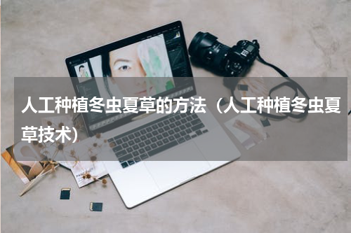人工种植冬虫夏草的方法（人工种植冬虫夏草技术）