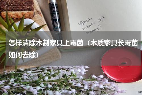 怎样清除木制家具上霉菌（木质家具长霉菌如何去除）