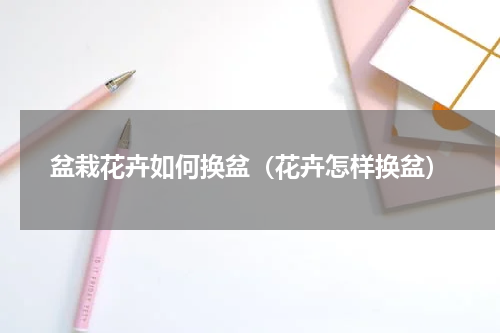 盆栽花卉如何换盆（花卉怎样换盆）