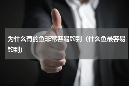 为什么有的鱼非常容易钓到（什么鱼最容易钓到）