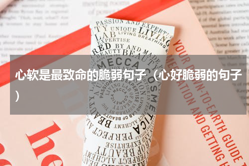 心软是最致命的脆弱句子（心好脆弱的句子）