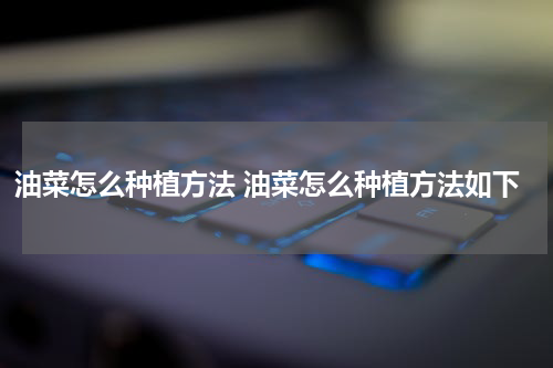 油菜怎么种植方法 油菜怎么种植方法如下