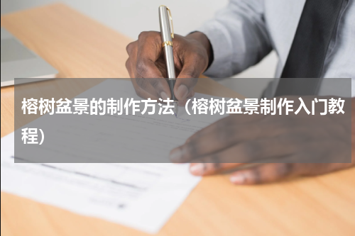 榕树盆景的制作方法（榕树盆景制作入门教程）