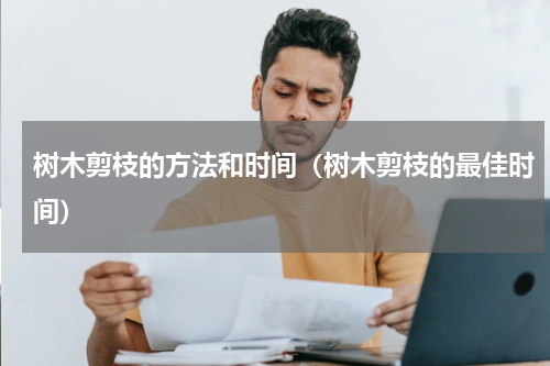 树木剪枝的方法和时间（树木剪枝的最佳时间）