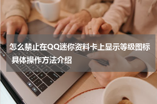 怎么禁止在QQ迷你资料卡上显示等级图标 具体操作方法介绍