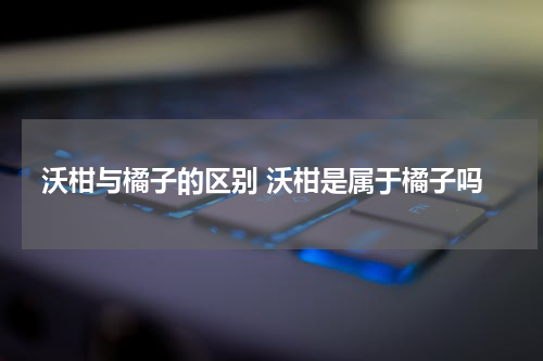 沃柑与橘子的区别 沃柑是属于橘子吗