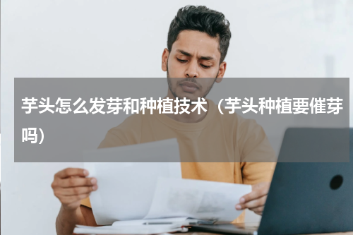 芋头怎么发芽和种植技术（芋头种植要催芽吗）