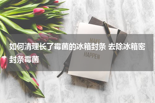 如何清理长了霉菌的冰箱封条 去除冰箱密封条霉菌