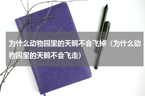 为什么动物园里的天鹅不会飞掉（为什么动物园里的天鹅不会飞走）