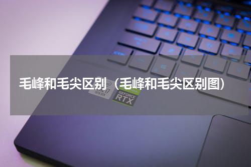 毛峰和毛尖区别（毛峰和毛尖区别图）