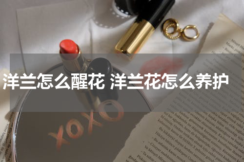 洋兰怎么醒花 洋兰花怎么养护