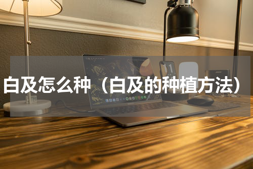白及怎么种（白及的种植方法）