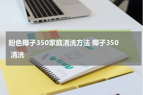 粉色椰子350家庭清洗方法 椰子350 清洗