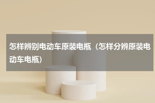 怎样辨别电动车原装电瓶（怎样分辨原装电动车电瓶）