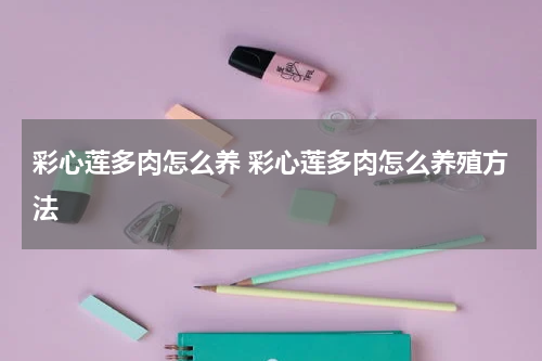 彩心莲多肉怎么养 彩心莲多肉怎么养殖方法