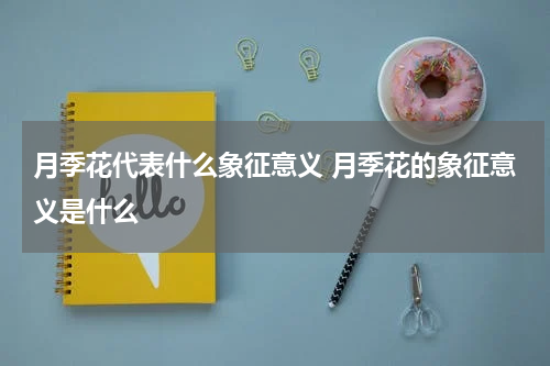 月季花代表什么象征意义 月季花的象征意义是什么