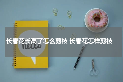 长春花长高了怎么剪枝 长春花怎样剪枝