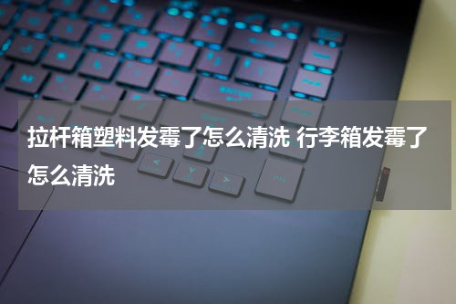 拉杆箱塑料发霉了怎么清洗 行李箱发霉了怎么清洗