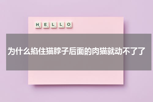 为什么掐住猫脖子后面的肉猫就动不了了