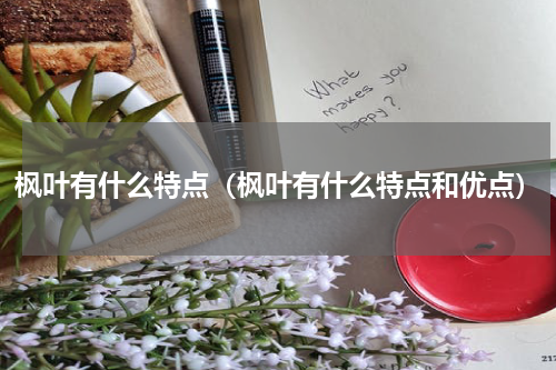 枫叶有什么特点（枫叶有什么特点和优点）