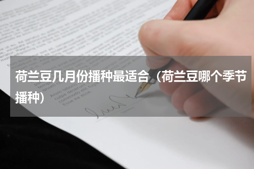 荷兰豆几月份播种最适合（荷兰豆哪个季节播种）