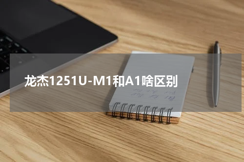 龙杰1251U-M1和A1啥区别