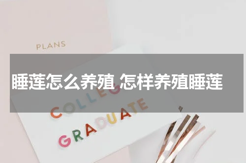 睡莲怎么养殖 怎样养殖睡莲