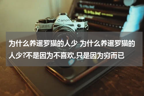 为什么养暹罗猫的人少 为什么养暹罗猫的人少?不是因为不喜欢,只是因为穷而已