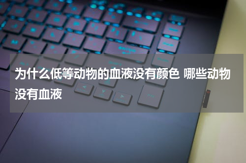 为什么低等动物的血液没有颜色 哪些动物没有血液
